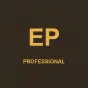 Example Professional Certification badge
