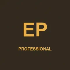 Example Professional Certification badge